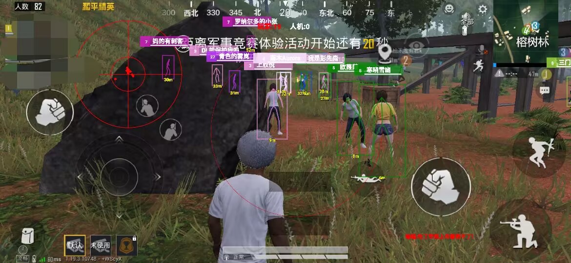 和平精英辅助【神女】
